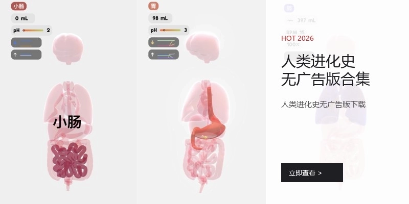 人类进化史无广告版合集