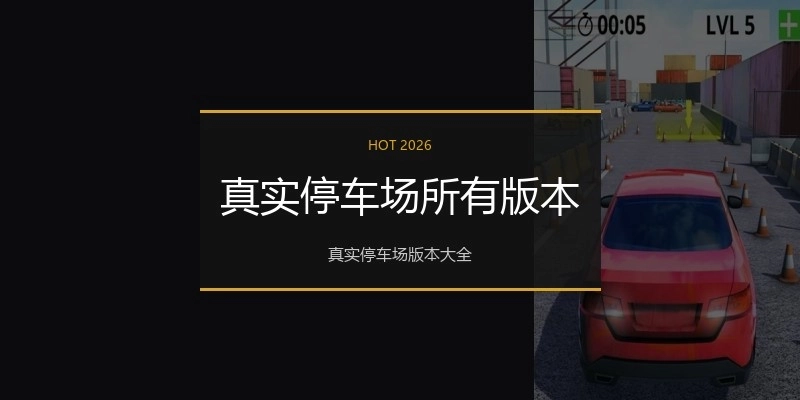 真实停车场所有版本