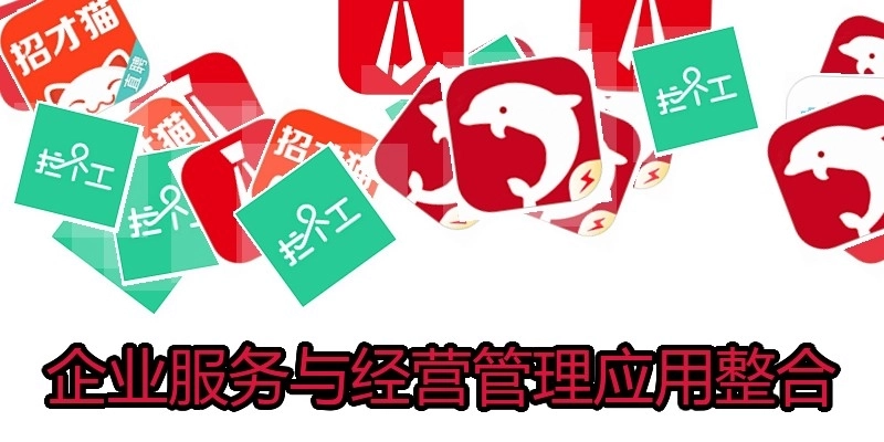 企业服务与经营管理应用整合