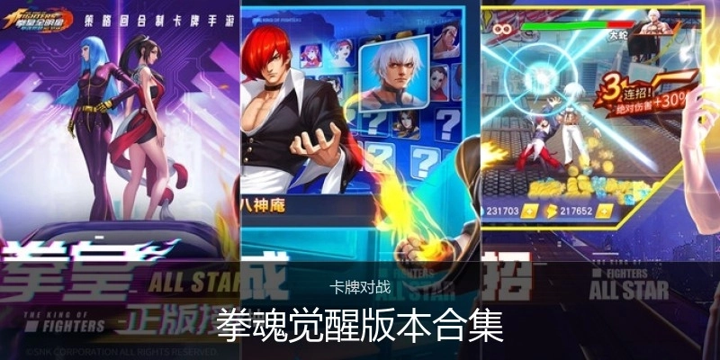 拳魂觉醒版本合集