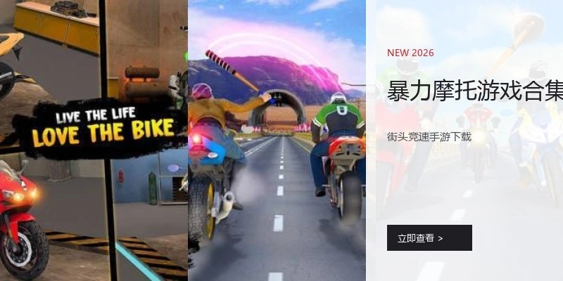 暴力摩托游戏合集