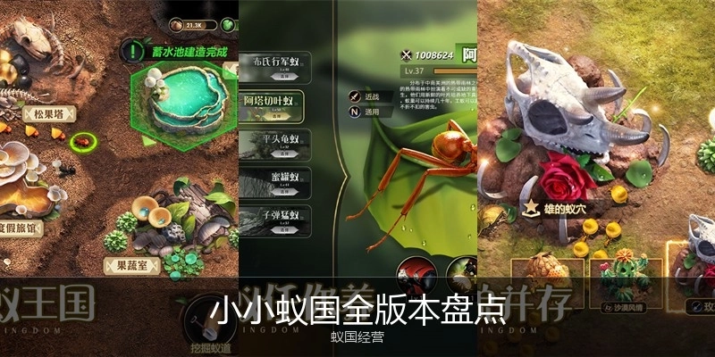 小小蚁国全版本盘点