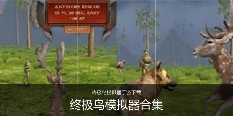 终极鸟模拟器合集