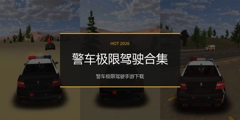 警车极限驾驶合集