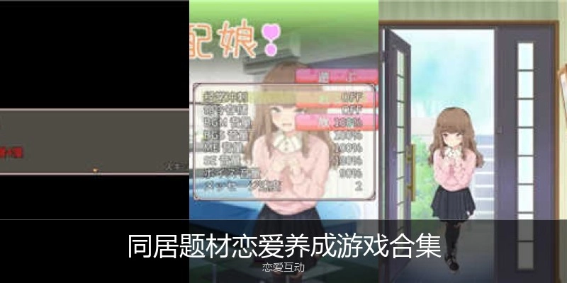同居题材恋爱养成游戏合集