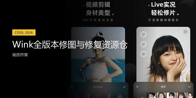 Wink全版本修图与修复资源仓