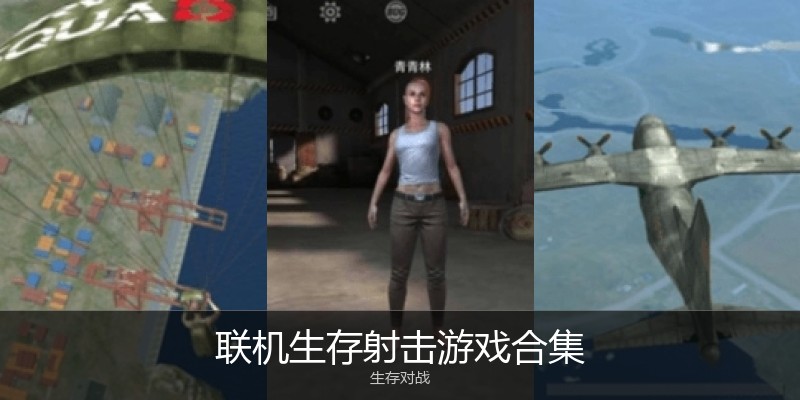 联机生存射击游戏合集
