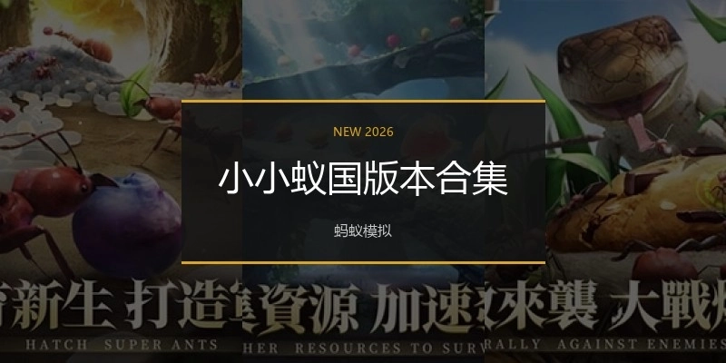 小小蚁国版本合集
