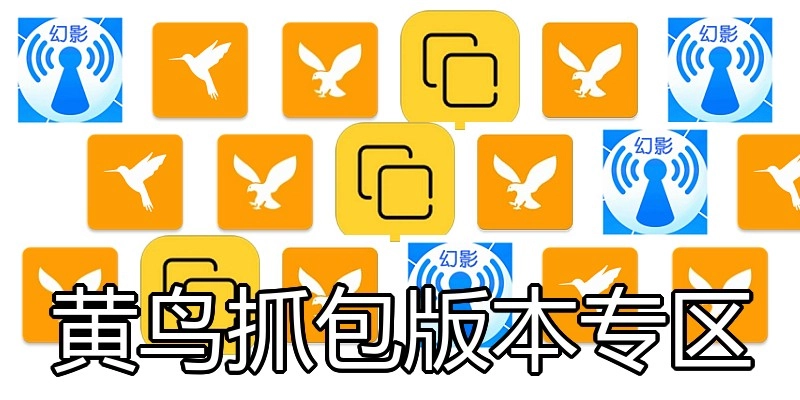黄鸟抓包版本专区