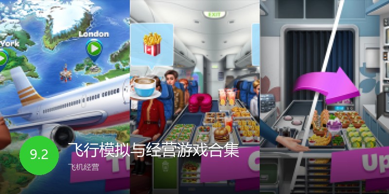 飞行模拟与经营游戏合集