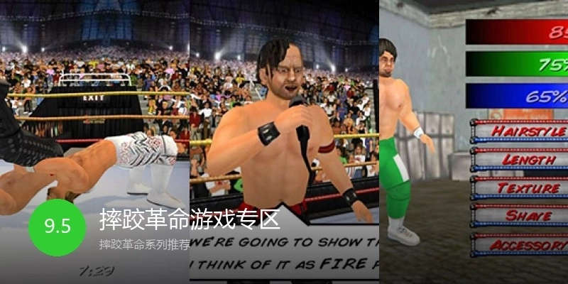 摔跤革命游戏专区
