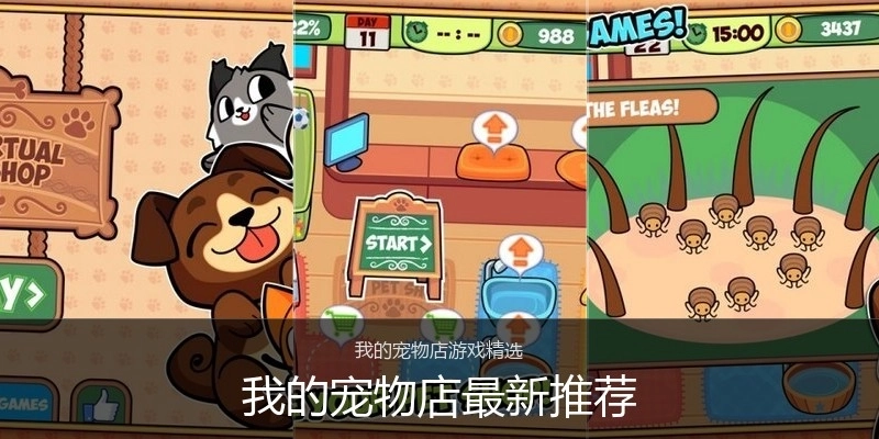 我的宠物店最新推荐