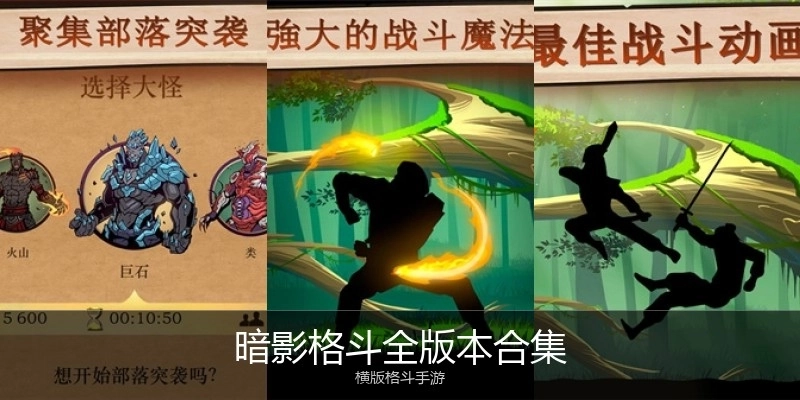 暗影格斗全版本合集