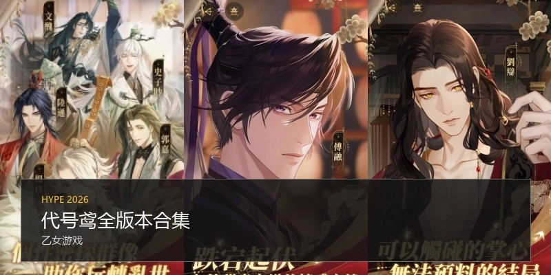 代号鸢全版本合集