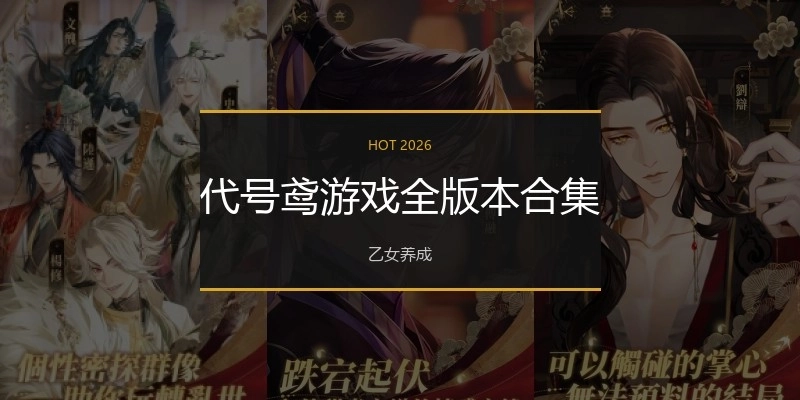 代号鸢游戏全版本合集