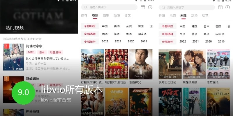 libvio所有版本