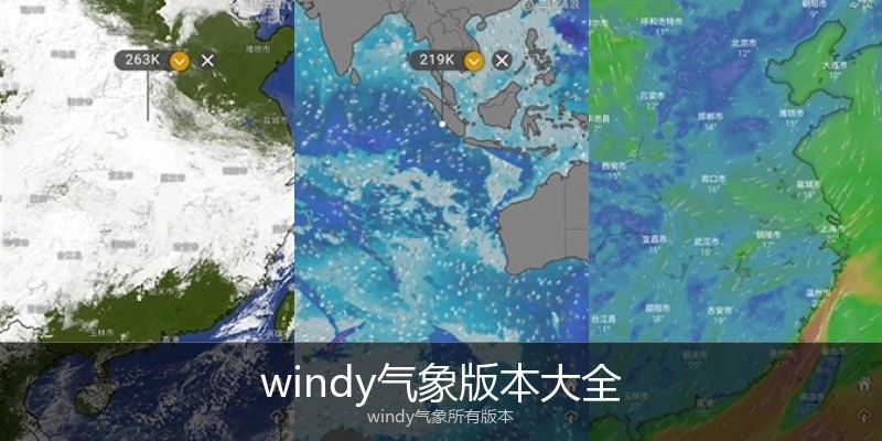 windy气象版本大全
