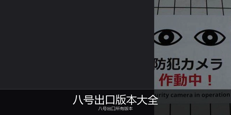 八号出口版本大全