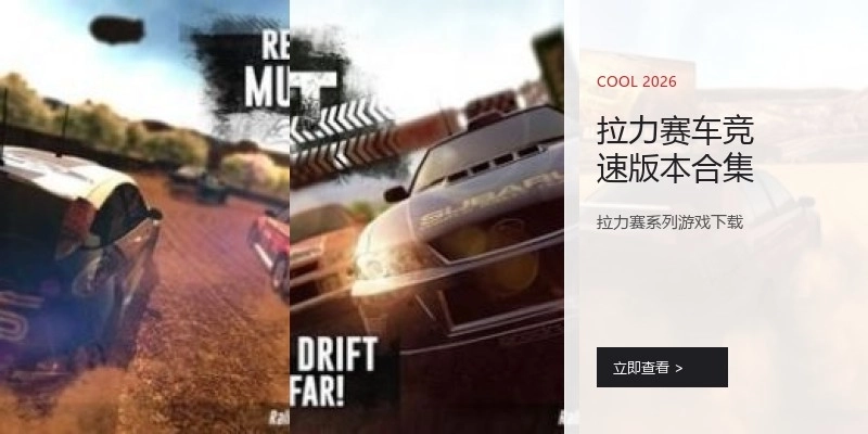 拉力赛车竞速版本合集