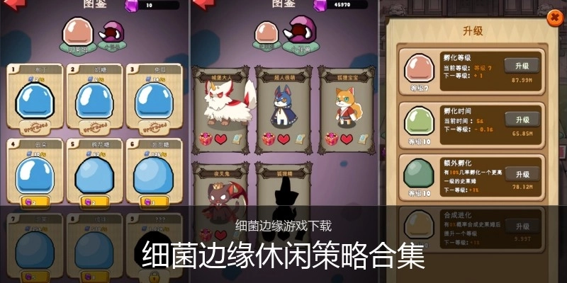 细菌边缘休闲策略合集