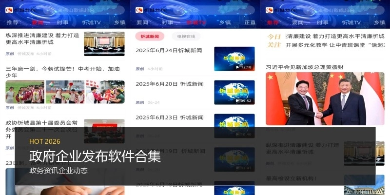 政府企业发布软件合集