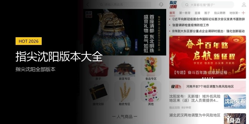 指尖沈阳版本大全