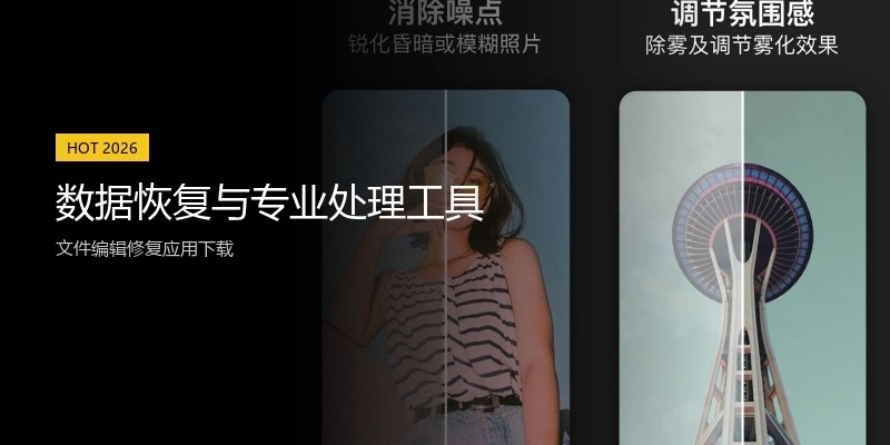 数据恢复与专业处理工具