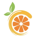 citron模拟器