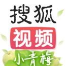 搜狐视频正版