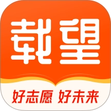 载望志愿
