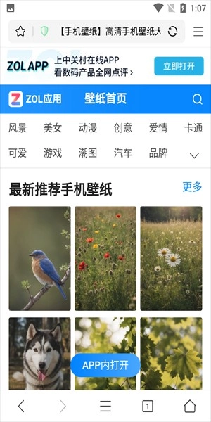 pp浏览器最新版截图1