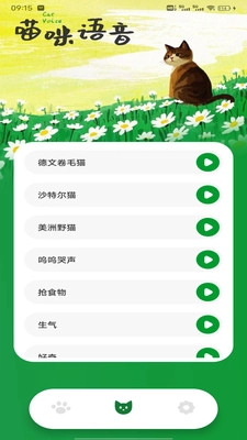 撸撸猫咪社区截图1