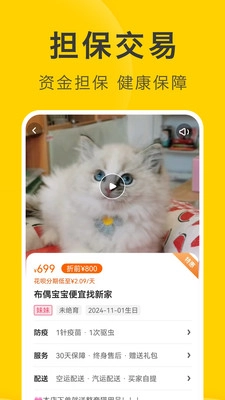 买只宠物截图3
