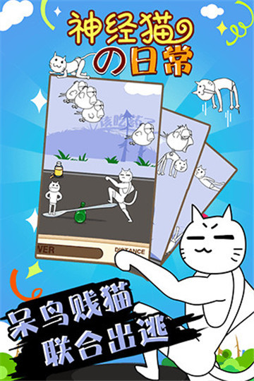 神经猫的日常3
