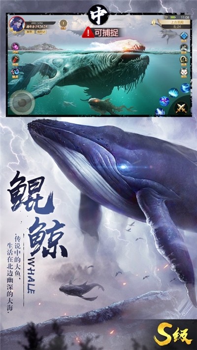 我的异兽特牛4
