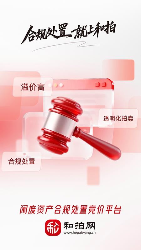 和拍网截图3