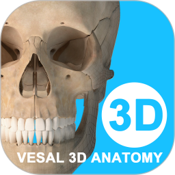 维萨里3D解剖正版