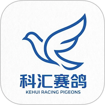 科汇赛鸽