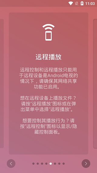 飞鱼播放器截图3