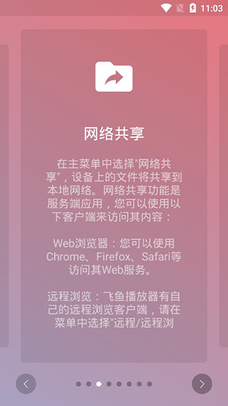 飞鱼播放器截图1