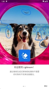 Lightroom修图软件最新版截图0