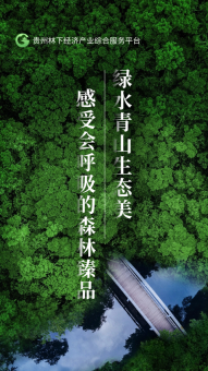 贵州省林下经济产业综合服务体系3