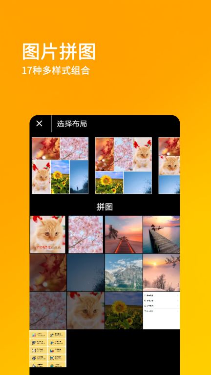 刷兔圈最新版3