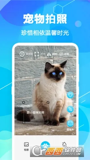 猫语翻译pet最新手机版截图2