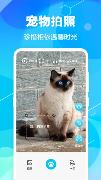 猫语翻译pet最新手机版截图4