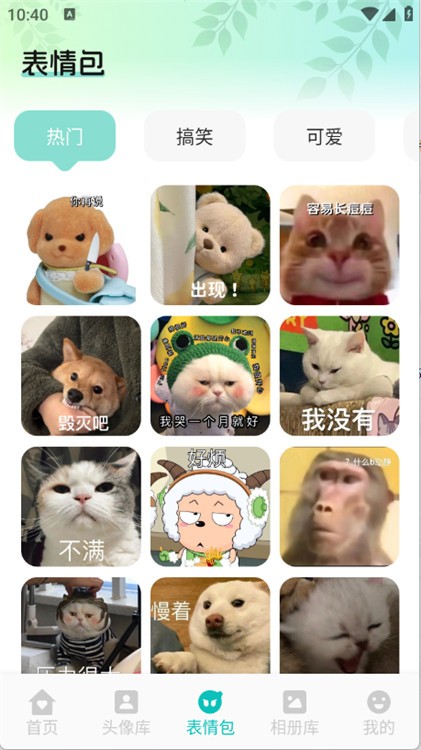 艾音壁纸绿色版截图1