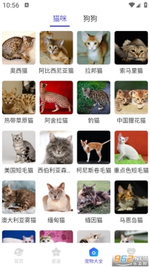 爻爻WiFi大师手机版截图3