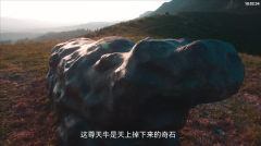 畅常看TV版截图7