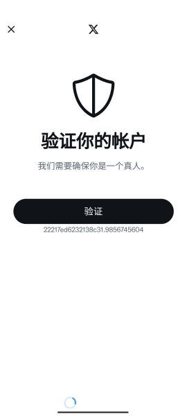 X软件