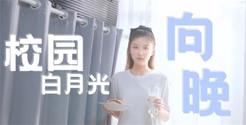 向晚角色形象